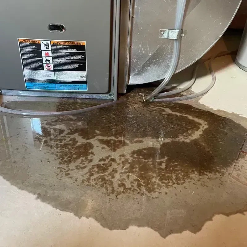 Appliance Leak Cleanup in Santa Clara, CA